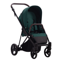 Bebetto Pastaigu rati Filippo 05