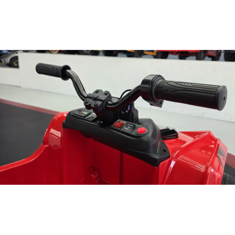 Elektriskā rotaļu mašīna TrailBlazer 6-wheel quad 24V C4K0699