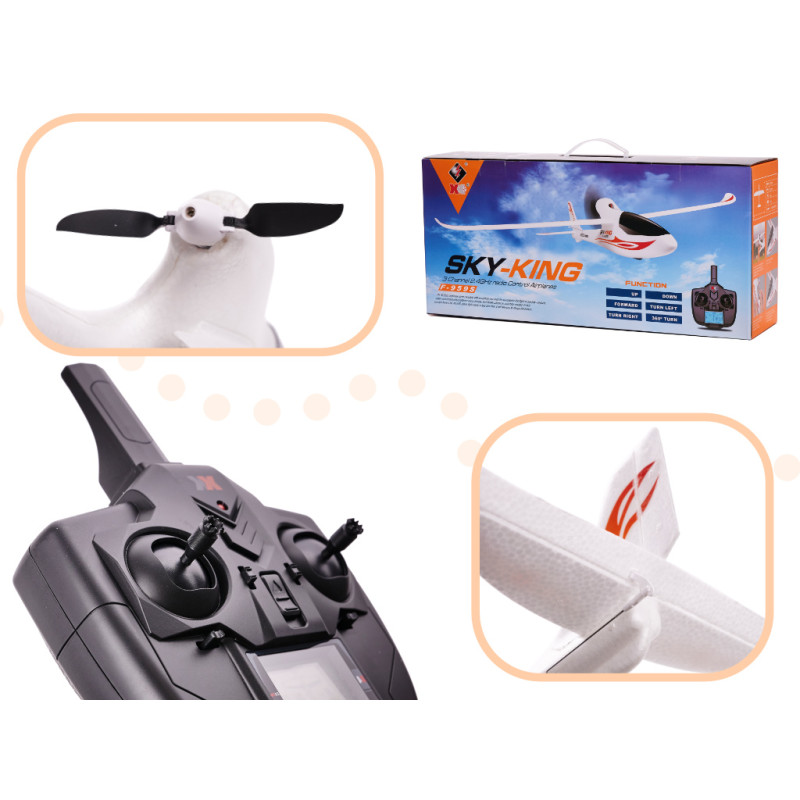 WL Toys Radiovadāma lidmašīna Sky King F959S KX9606
