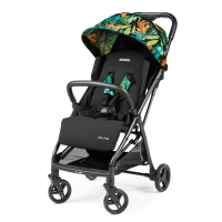 Peg Perego Pastaigu rati Selfie Jaguars IP22000000JL24RO01