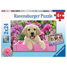 Ravensburger Puzzle 2x24 Me and my pal R05029